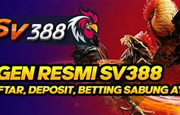 Sabung Ayam Online Indomaster88 24 Jam Terpercaya